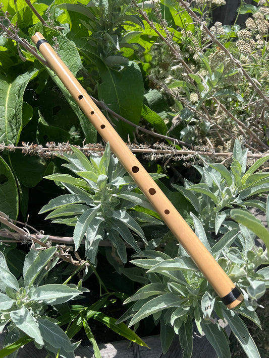 Bamboo, end blown flute in minor pentatonic scale (C#)