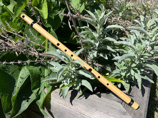 Transverse flute, Bamboo in Minor Pentatonic Scale C#