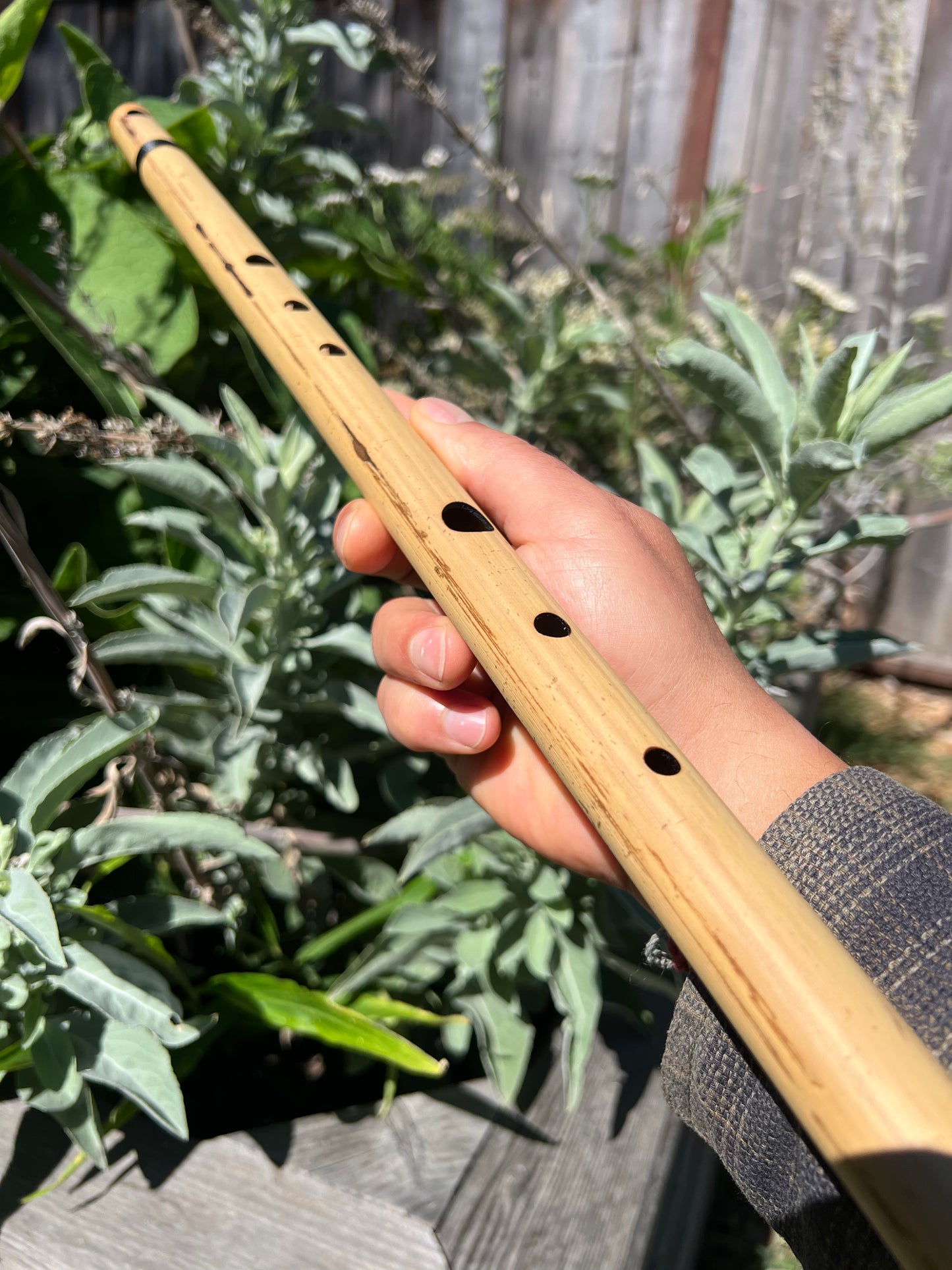 Transverse flute, Bamboo in Minor Pentatonic Scale C#